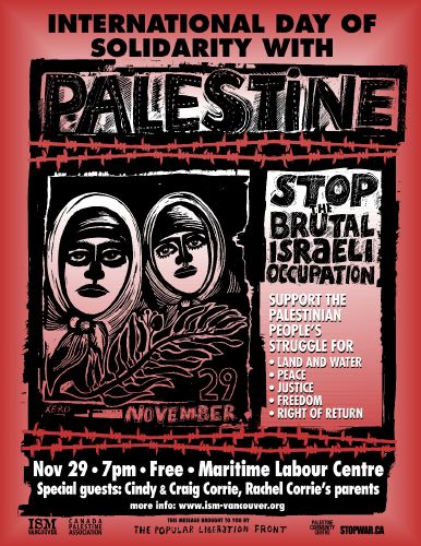 palestine solidarity