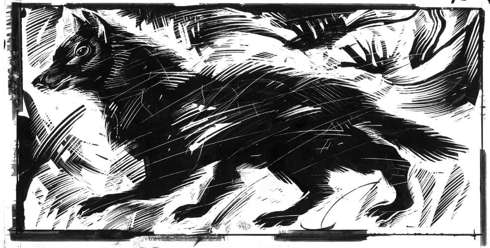 black dogs
