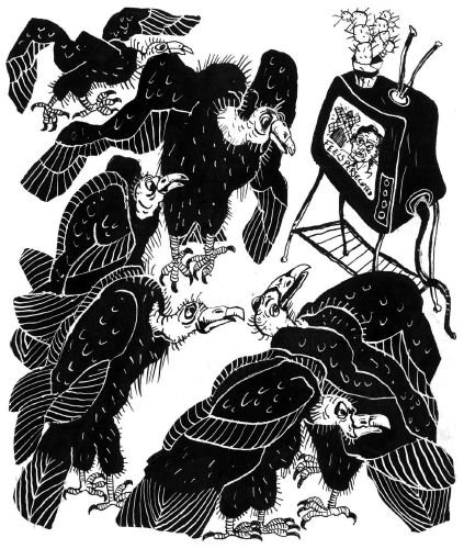 media vultures